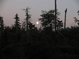 Lows Lake 052
