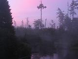 Lows Lake 055