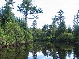 Lows Lake 057