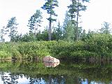Lows Lake 058