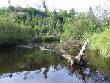 Lows Lake 059