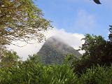 St Lucia 035 : Forest Preserve