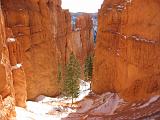 Bryce Canyon 014