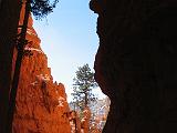 Bryce Canyon 023