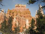 Bryce Canyon 029