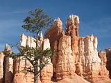 Bryce Canyon 031