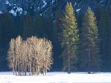 A Yosemite Valley 015