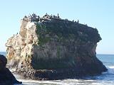 A Natural Bridges State Beach 001