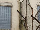Alcatraz 020