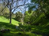 Sunol 005