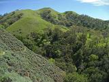 Sunol 011