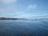 Monterey Kayaking 004