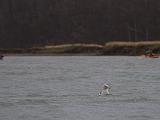 Elkhorn Slough 001