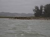Elkhorn Slough 004