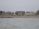 Elkhorn Slough 006