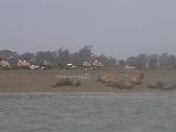 Elkhorn Slough 008