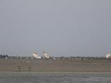 Elkhorn Slough 010