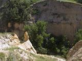 Cross Country North 113