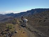 D Haleakala 018