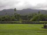 F Road to Hana 025