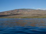 G Lanai Snorkeling 003