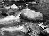 RMNP 002