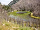 RMNP 017