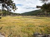 RMNP 018