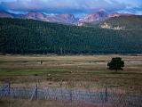 RMNP 029