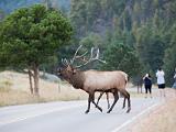 RMNP 032