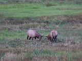 RMNP 034