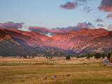 RMNP 035
