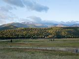 RMNP 038