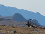 RMNP 047