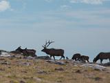 RMNP 049