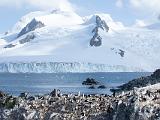 Antarctica 253