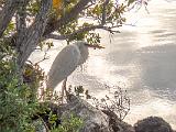 Biscayne 003