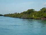 Biscayne 006