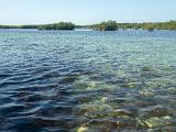 Biscayne 007