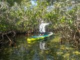 Biscayne 014