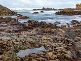 Mendocino 001