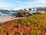 Mendocino 003