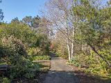 Mendocino 013