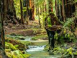 Mendocino 024