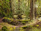 Mendocino 028