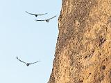 Pinnacles 004