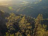Pinnacles 008