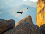 Pinnacles 009