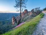 Pinnacles 014
