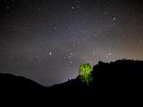 Pinnacles 018
